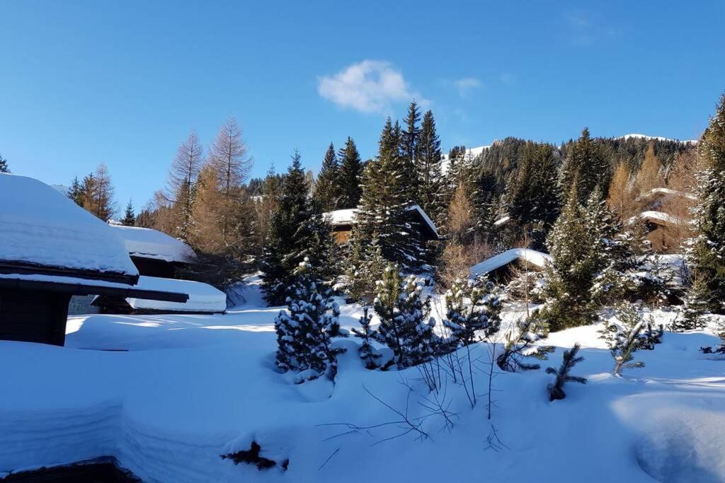 Chalet Wulli In Der Naehe Der Skianlagen Savognin Dış mekan fotoğraf