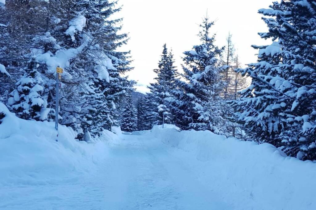 Chalet Wulli In Der Naehe Der Skianlagen Savognin Dış mekan fotoğraf
