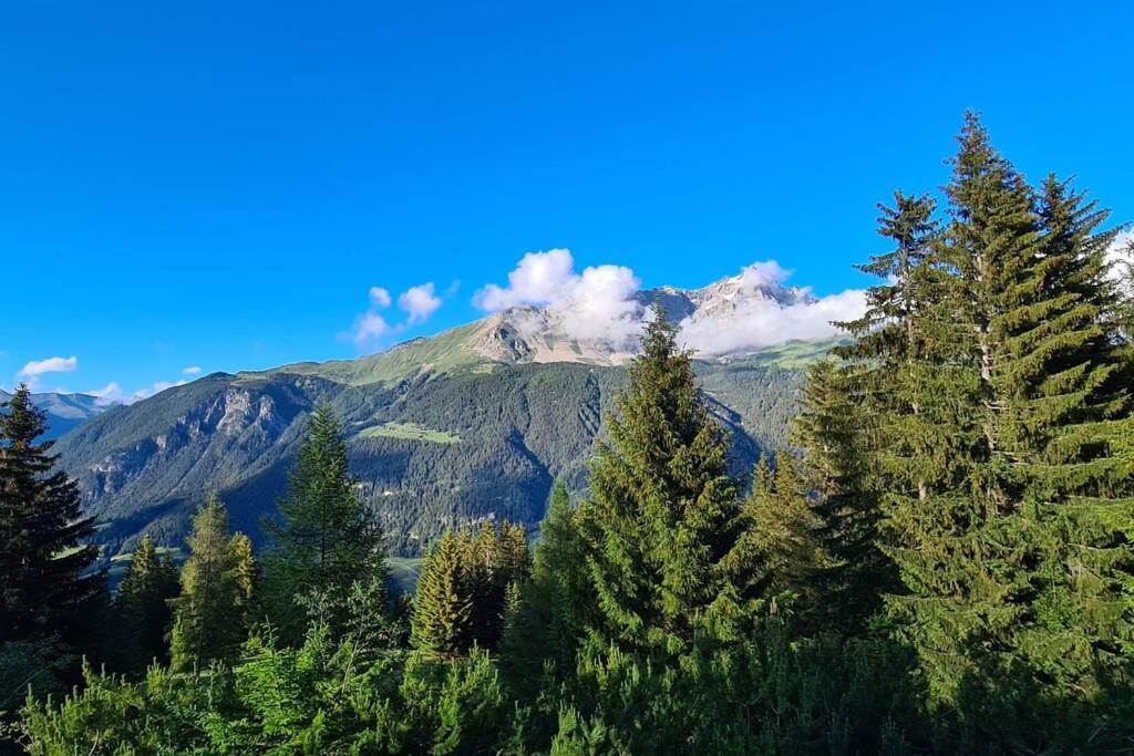 Chalet Wulli In Der Naehe Der Skianlagen Savognin Dış mekan fotoğraf