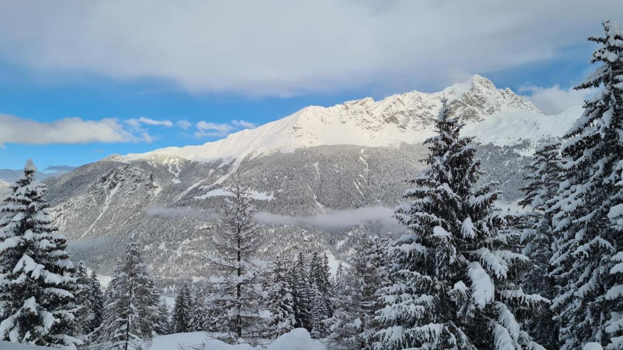 Chalet Wulli In Der Naehe Der Skianlagen Savognin Dış mekan fotoğraf